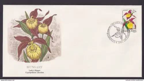 Hungary Ungarn Flora schöner Künstler Brief