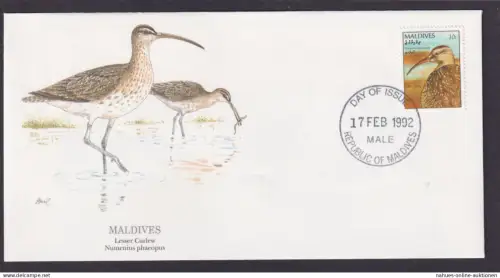Malediven Südasien Fauna Brachvögel schöner Künstler Brief