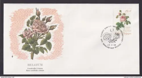 Belgium Belgien Flora Rosen schöner Künstler Brief