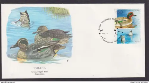 Israel Mittlerer Osten Fauna Krickente Schöner Künstler Brief