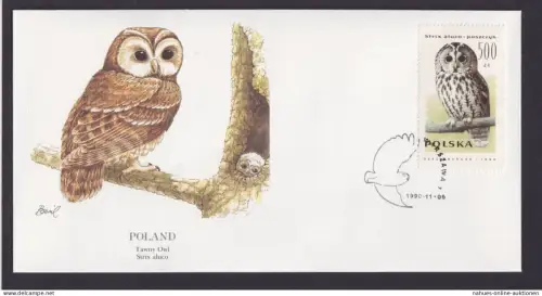 Poland Polen Fauna Tiere Vögel Waldkauz schöner Künstler Brief