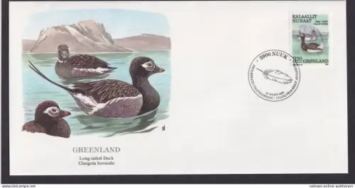 Greenland Grönland Fauna Tiere Spießente schöner Künstler Brief