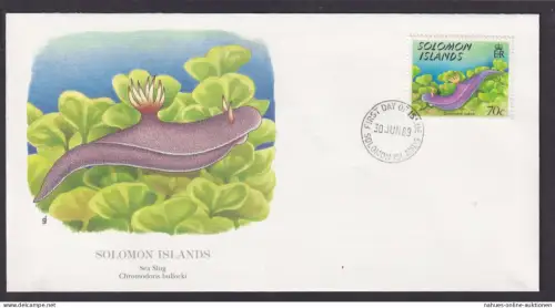 Salomon Inseln Südpazific Fauna Landschnecke Schöner Künstler Brief