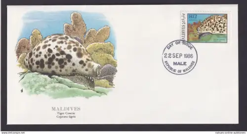 Malediven Südasien Fauna Tiger Porzellanschnecke schöner Künstler Brief