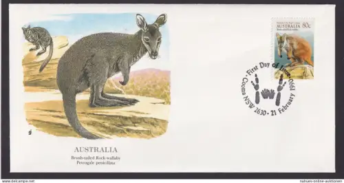 Australia Australien Fauna Tiere Felsen Wallaby schöner Künstler Brief