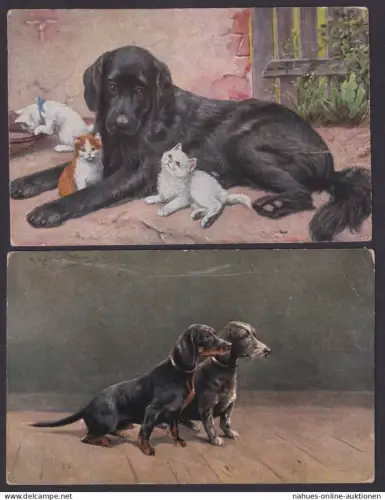 Luxemburg Ansichtskarten Ganzsachen Lot von 20 Stück oft frankiert 1900-1918