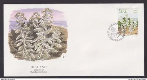 Ireland Irland Flora Wollgras schöner Künstler Brief