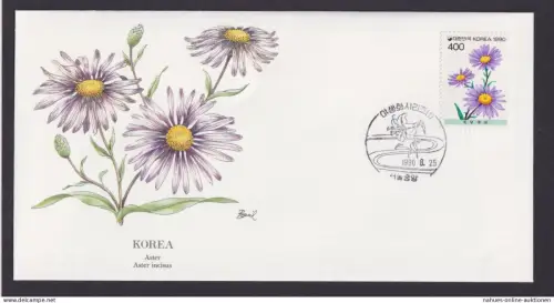 Korea Ostasien Flora Pflanzen Aster Incisus schöner Künstler Brief
