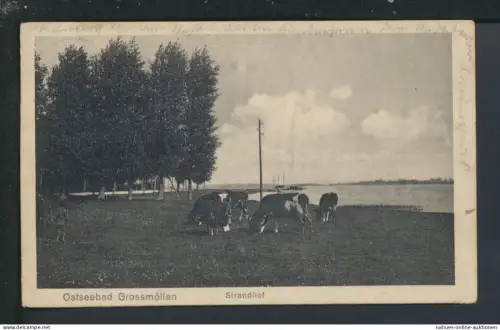 Ansichtskarte Grossmöllen Mielno Strandhof Ostgebiete Polen Pommern Rudolstadt
