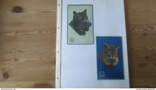 Nachlass Katzen Ansichtskarten gute Reklame Sammlung Hoffmann Stärke 24 St selten