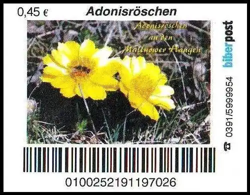 Biberpost: "Blumen: Adonisröschen", Satz, Typ VI, postfrisch
