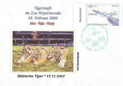 RPV: MiNr. 2, 01."Tigertaufe im Zoo Hoyswerda, 28.02.2008", Sonderbeleg (1), SSt