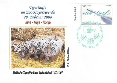 RPV: MiNr. 2, 01."Tigertaufe im Zoo Hoyswerda, 28.02.2008", Sonderbeleg (2), SSt
