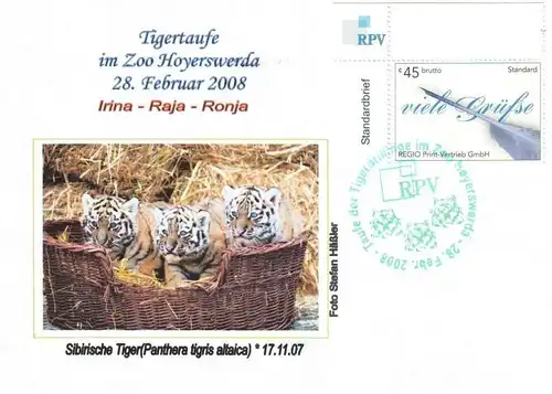 RPV: MiNr. 2, 01."Tigertaufe im Zoo Hoyswerda, 28.02.2008", Sonderbeleg (4), SSt