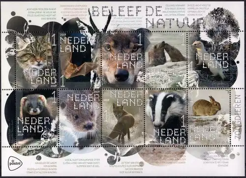 NL: 2019, "Natur Erleben - Säugetiere", Satz (KB), pfr.