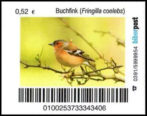 Biberpost: "Vögel: Buchfink", Satz, postfrisch