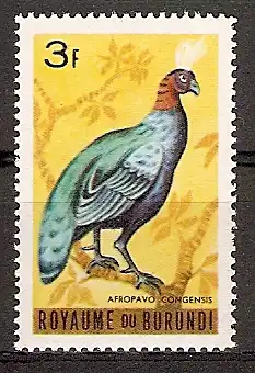 Burundi 147 ** Kongopfau (2015683)