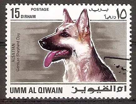 Umm-al-Kaiwain 210 A o Deutscher Schäferhund (2017230)