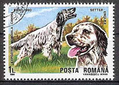Rumänien 4604 o Englischer Setter (2019149)