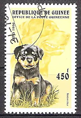 Guinea 1600 o Rottweiler (2019152)