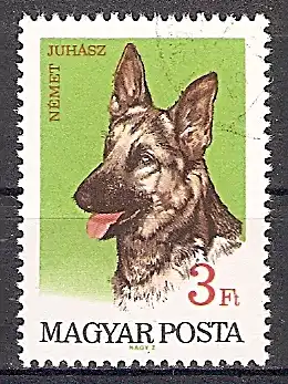Ungarn 2342 A o Deutscher Schäferhund (2019154)