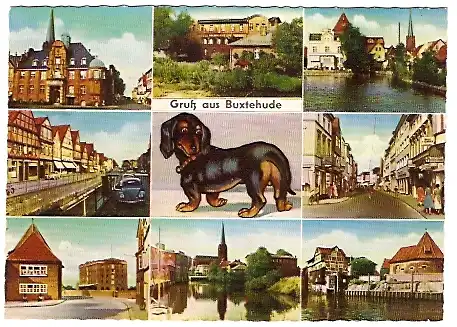 AK Buxtehude - Gruß aus... / Mehrbildkarte mit Buxtehuder Dackel (412)