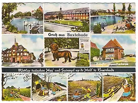 AK Buxtehude - Mehrbildkarte mit Buxtehuder Dackel und Sehenswürdigkeiten (341)