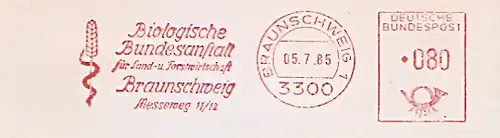 Freistempel Braunschweig - Biologische Bundesanstalt für Land- und Forstwirtschaft (Abb. Getreideähre) (#641)