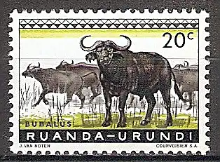 Briefmarke Ruanda-Urundi Mi.Nr. 162 A ** Geschützte Tiere 1959 - Motiv: Kaffernbüffel (Syncerus caffer) (#10022)