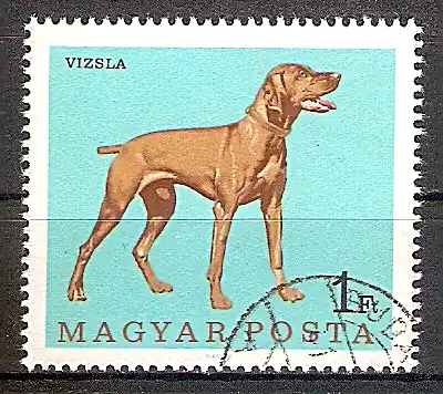 Briefmarke Ungarn Mi.Nr. 2339 A o Hunde 1967 Motiv: Hunde - Kurzhaariger Ungarischer Vorstehhund (Rövidszőrű magyar vizsla) (#10156)