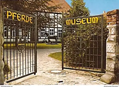 Ansichtskarte Deutschland - Niedersachsen - Verden - Deutsches Pferdemuseum (418)
