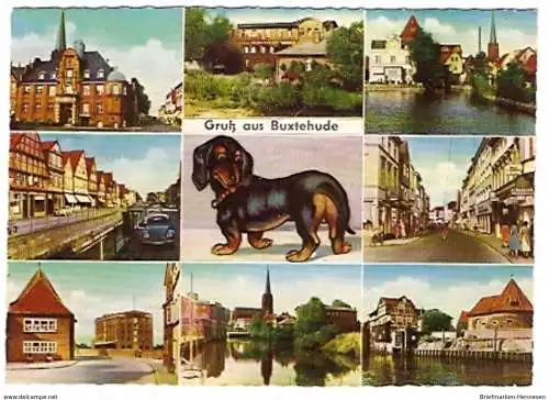 Ansichtskarte Deutschland - Niedersachsen - Buxtehude - Gruß aus Buxtehude / Mehrbildkarte mit Buxtehuder Dackel (412)