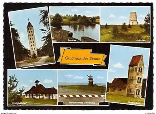 Ansichtskarte Deutschland - Nordrhein-Westfalen - Gruß aus der Senne - Mehrbildkarte (882)