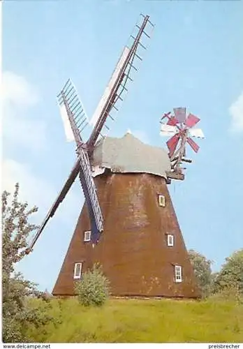 Ansichtskarte Deutschland - Niedersachsen - Steinhude - Windmühle \"Paula\" (641)