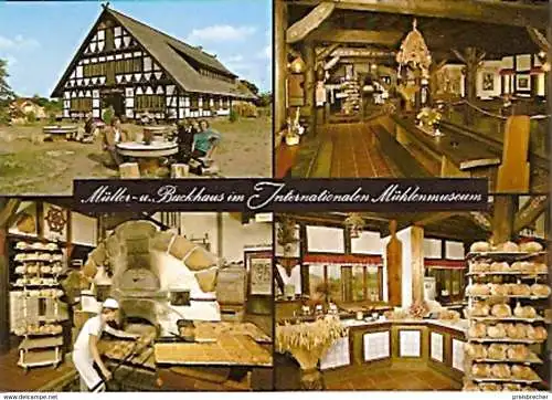 Ansichtskarte Deutschland - Niedersachsen - Gifhorn - Mühlenmuseum / Müller- und Backhaus (651)