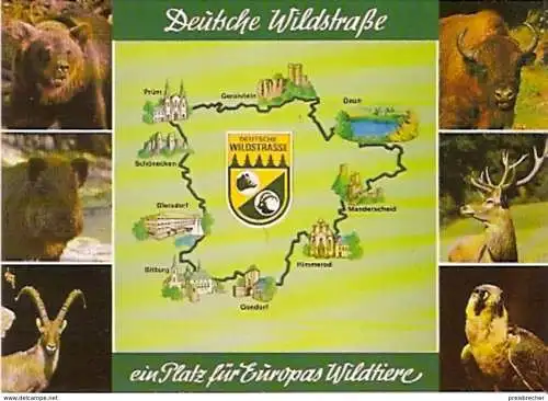 Ansichtskarte Tiere - Deutsche Wildstraße - Europas Wildtiere (626)