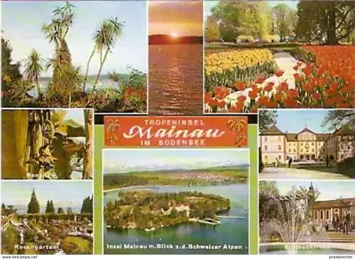 Ansichtskarte Deutschland - Baden-Württemberg - Tropeninsel Mainau im Bodensee - Mehrbildkarte (730)