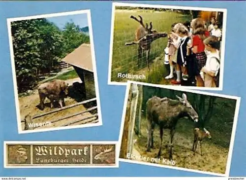 Ansichtskarte Deutschland - Niedersachsen - Hanstedt - Wildpark Lüneburger Heide (661)