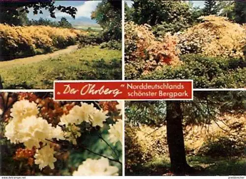 Ansichtskarte Deutschland - Niedersachsen - Hameln - Bergpark \"Der Ohrberg\" (1001)