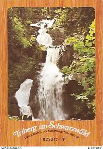 Ansichtskarte Deutschland - Baden-Württemberg - Triberg im Schwarzwald - Deutschlands höchste Wasserfälle (1172)