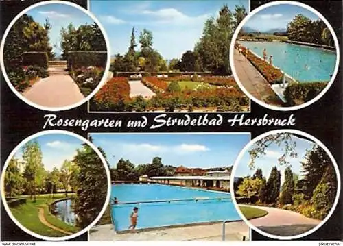 Ansichtskarte Deutschland - Bayern - Hersbruck - Rosengarten und Strudelbad (790)