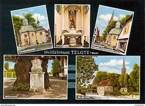 Ansichtskarte Deutschland - Nordrhein-Westfalen - Telgte (Westf.) - Wallfahrtsort (517)