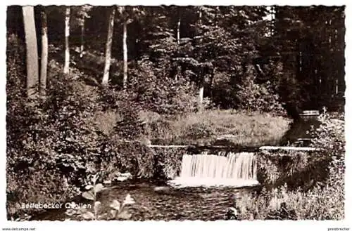 Ansichtskarte Deutschland - Nordrhein-Westfalen - Berlebeck - Berlebecker Quellen (969)
