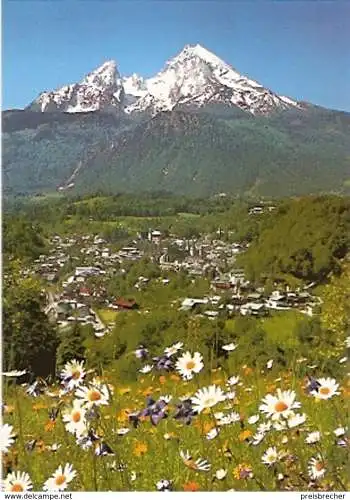 Ansichtskarte Deutschland - Bayern - Berchtesgaden - Ortsansicht, Watzmann (259)