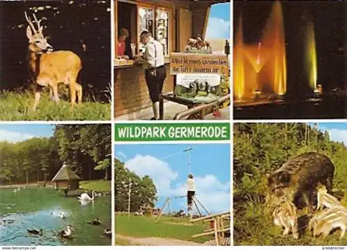 Ansichtskarte Deutschland - Hessen - Germerode - Wildpark Germerode (34)