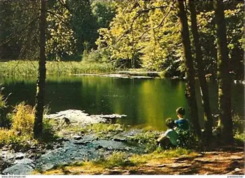 Ansichtskarte Deutschland - Hessen - Witzenhausen - See im Naturschutzgebiet Hoher Meißner (144)