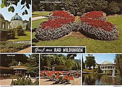 Ansichtskarte Deutschland - Hessen - Bad Wildungen - Gruß aus Bad Wildungen (96)