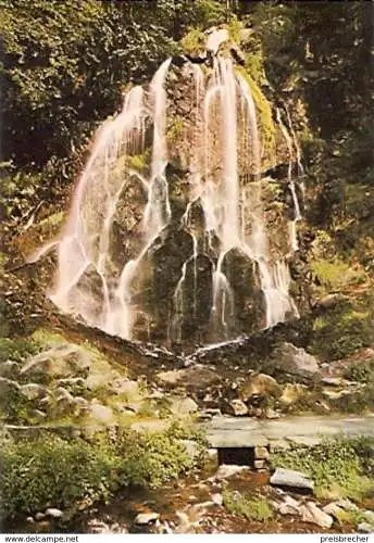 Ansichtskarte Deutschland - Niedersachsen - Bad Harzburg - Radau Wasserfall (334)