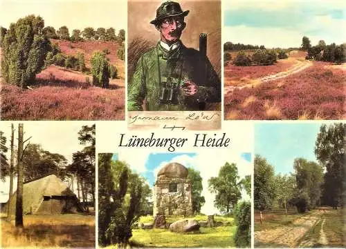 Ansichtskarte Deutschland - Niedersachsen - Lüneburger Heide - Mehrbildkarte mit Hermann Löns (1494)