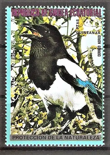 Briefmarke Äquatorial-Guinea Mi.Nr. 1013 o Nordamerikanische Vögel 1976 / Elster